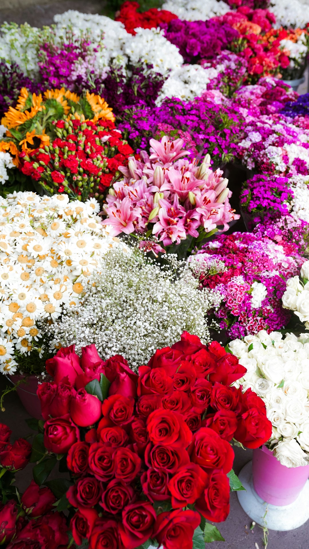 a bunch of flowers that are on a table