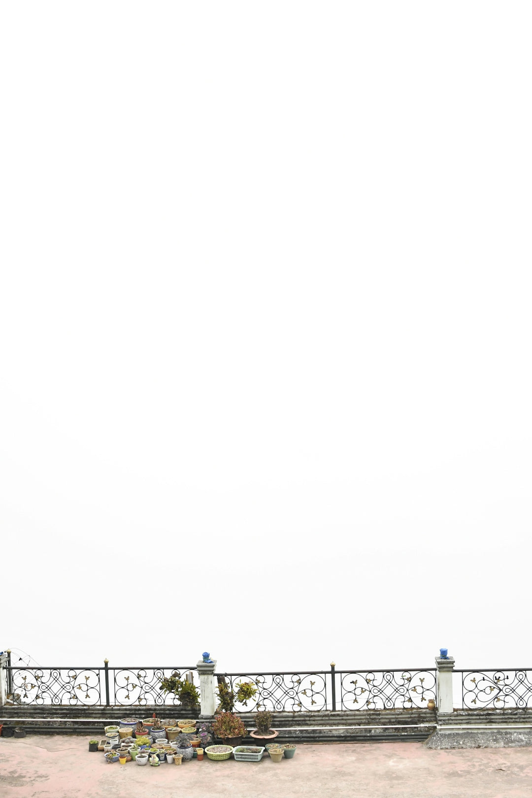 A rooftop railing with plants against a white sky.