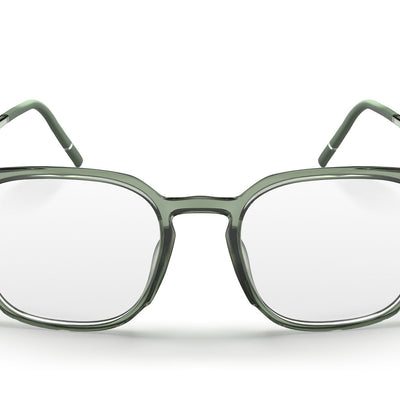 SILHOUETTE 2980 75 5010 51 FRAME