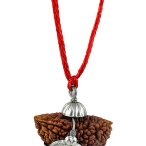 Studio Vaidik 1 mukhi Natural Rudraksha with silver cap