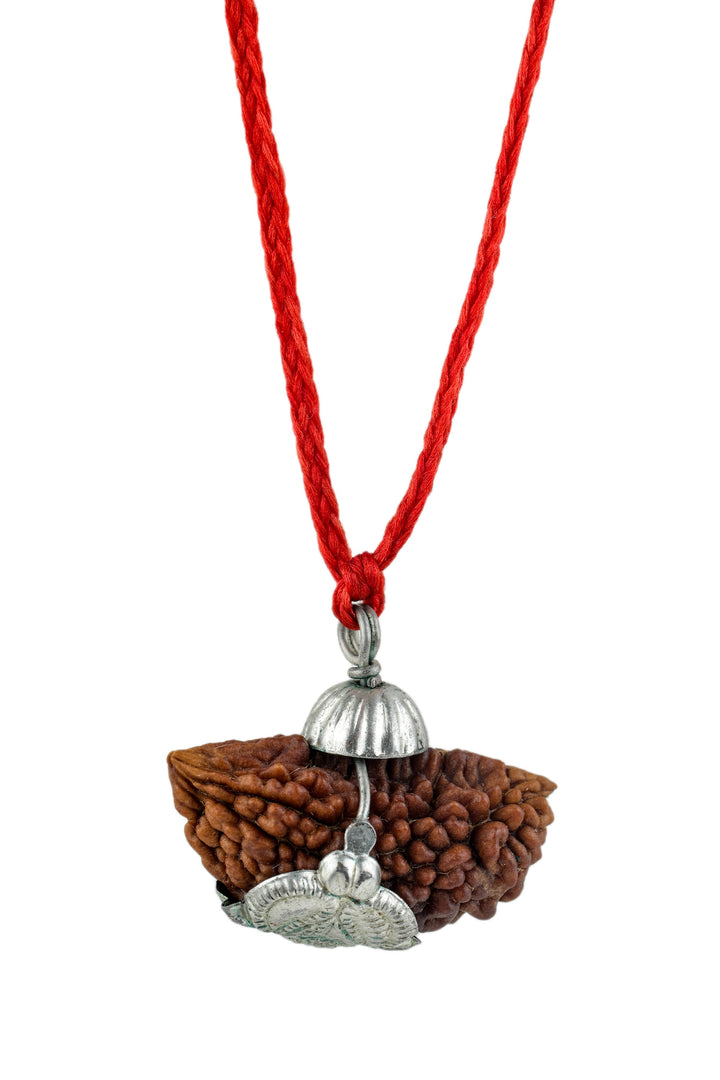 Studio Vaidik 1 mukhi Natural Rudraksha with silver cap