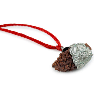 Studio Vaidik 1 mukhi Natural Rudraksha with silver cap