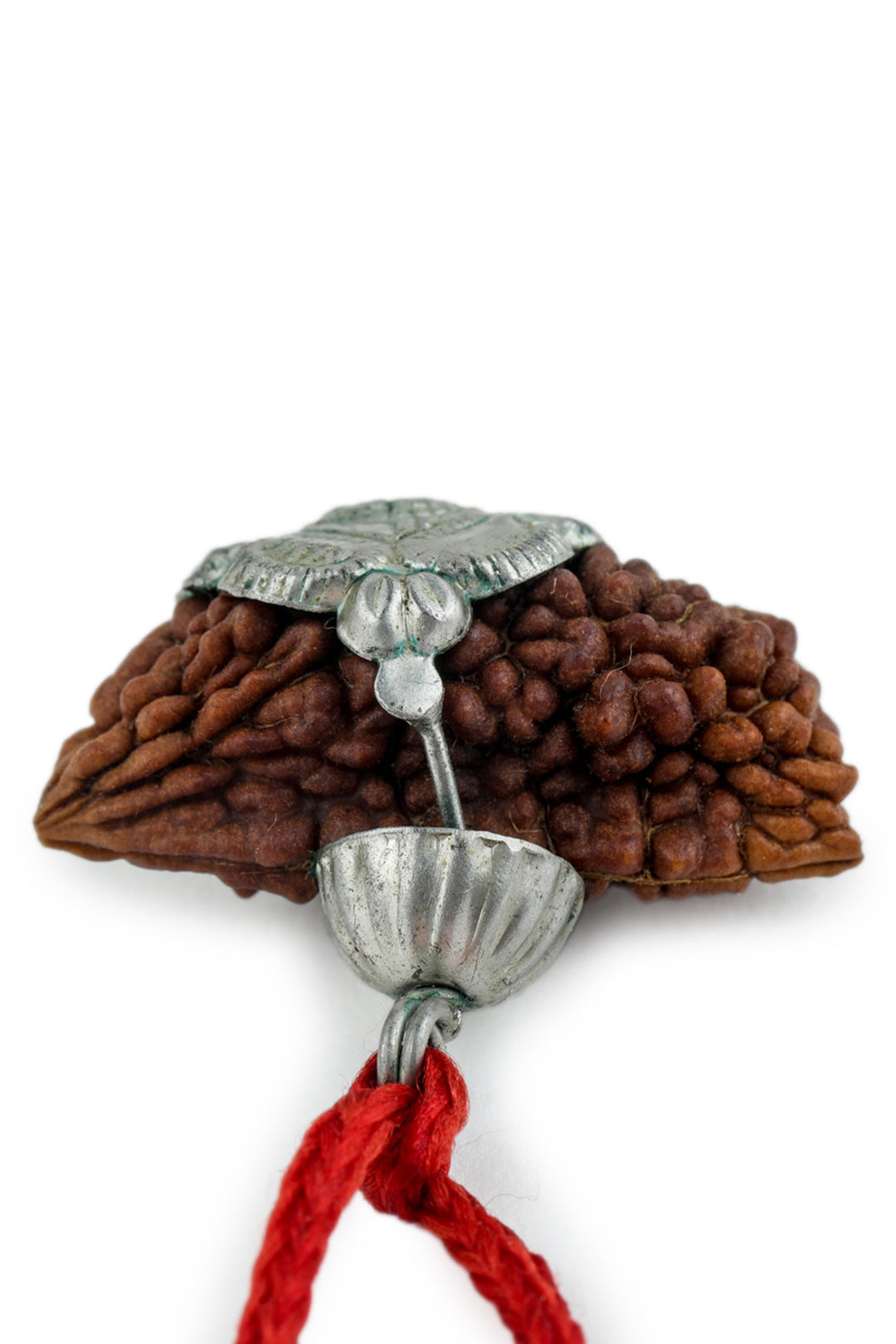 Studio Vaidik 1 mukhi Natural Rudraksha with silver cap