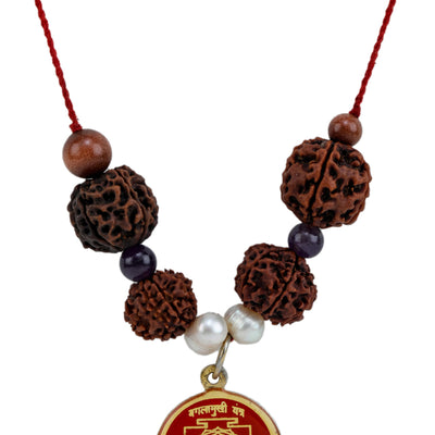 Studio Vaidik SarvaKarya Siddhi Kit