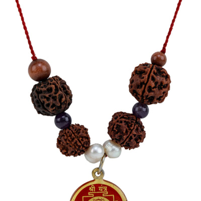 Studio Vaidik SarvaKarya Siddhi Kit