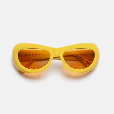 Field Of Rushes Yellow