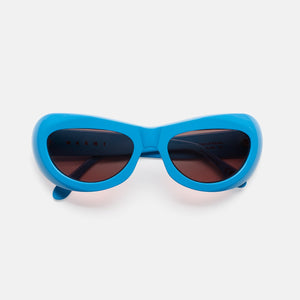 Field Of Rushes Blue