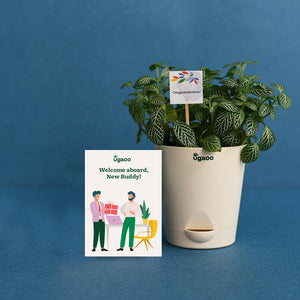 Plant with Plantable Calendar For Employee