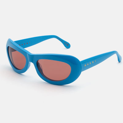 Field Of Rushes Blue