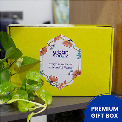 Curated Gift Hampers by URBAN SPACE - B05