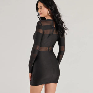 Delena Sheer Mesh Long Sleeve Bodycon Mini Dress