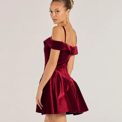 Andie Velvet Drop Waist Skater Dress