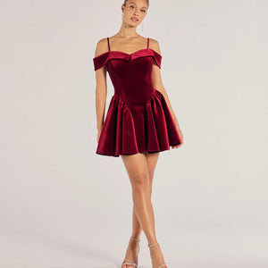 Andie Velvet Drop Waist Skater Dress