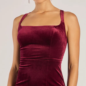 Christina Lace-Up Back Velvet Dress