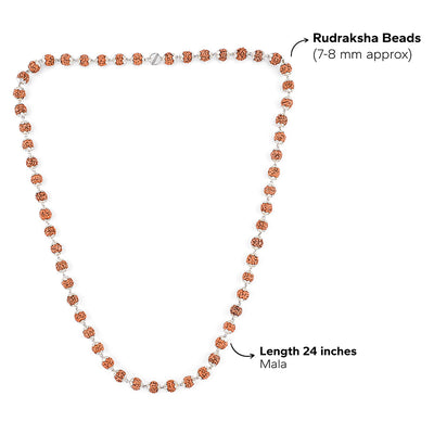 Rudraksha Silver Mala ( 8 – 9 mm Rudraksha Size)