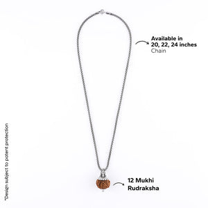 Adiyogi Pendant (12 Mukhi Nepali  Rudraksha) With Chain