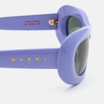 Field Of Rushes Lilac