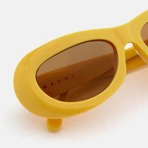 Field Of Rushes Yellow