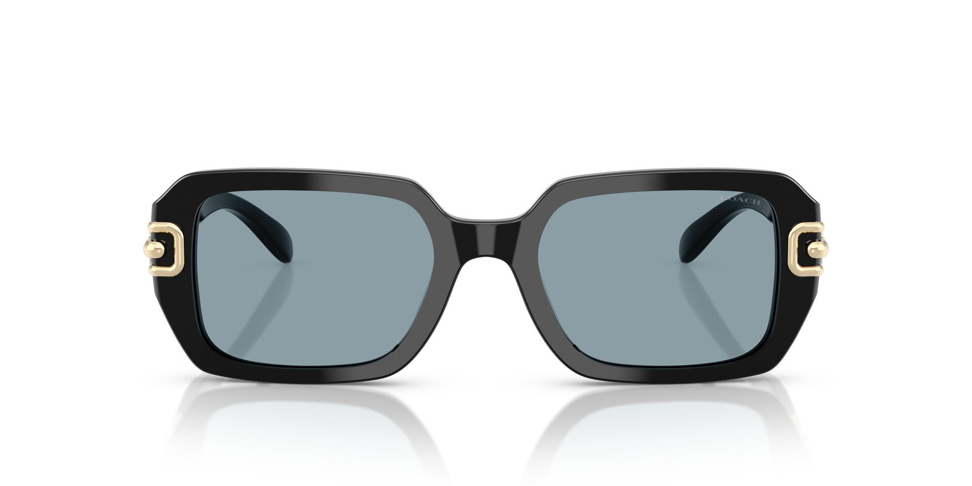 COACH HC8425U 500272 52 SUNGLASSES