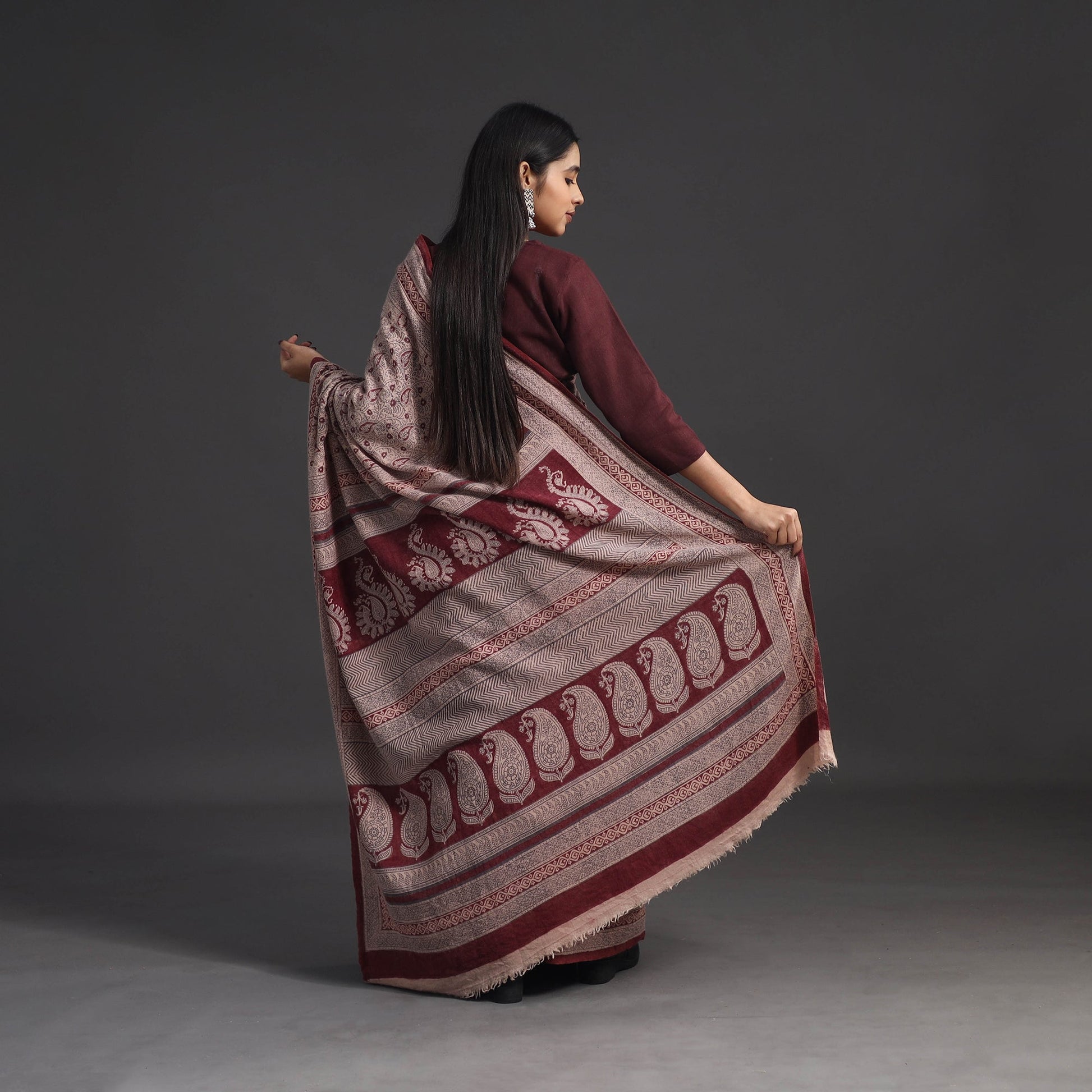 Brown - Handwoven Merino Wool Bagh Block Print Saree 01
