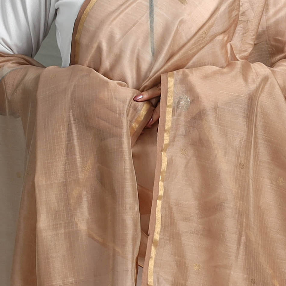 Brown - Handloom Silk Cotton Zari Buti Chanderi Dupatta 05