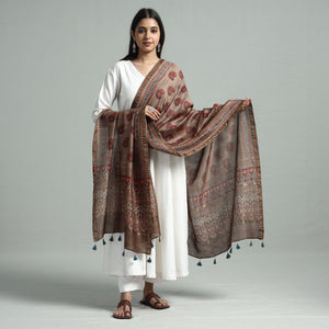 Brown - Hand Block Print Chanderi Silk Ajrakh Dupatta