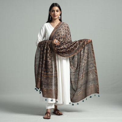 Brown - Hand Block Print Chanderi Silk Ajrakh Dupatta