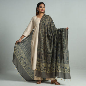 Brown - Hand Block Printed Cotton Ajrakh Dupatta 40