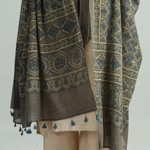 Brown - Hand Block Printed Cotton Ajrakh Dupatta 41