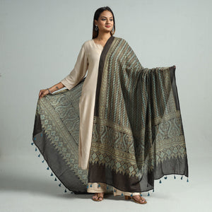 Brown - Hand Block Printed Cotton Ajrakh Dupatta 49
