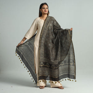 Brown - Hand Block Print Chanderi Silk Ajrakh Dupatta 62