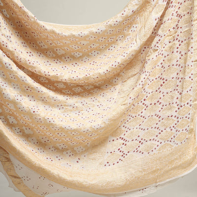 Beige - Kutch Bandhani Tie-Dye Pure Georgette Banarasi Neem Zari Jaal Saree