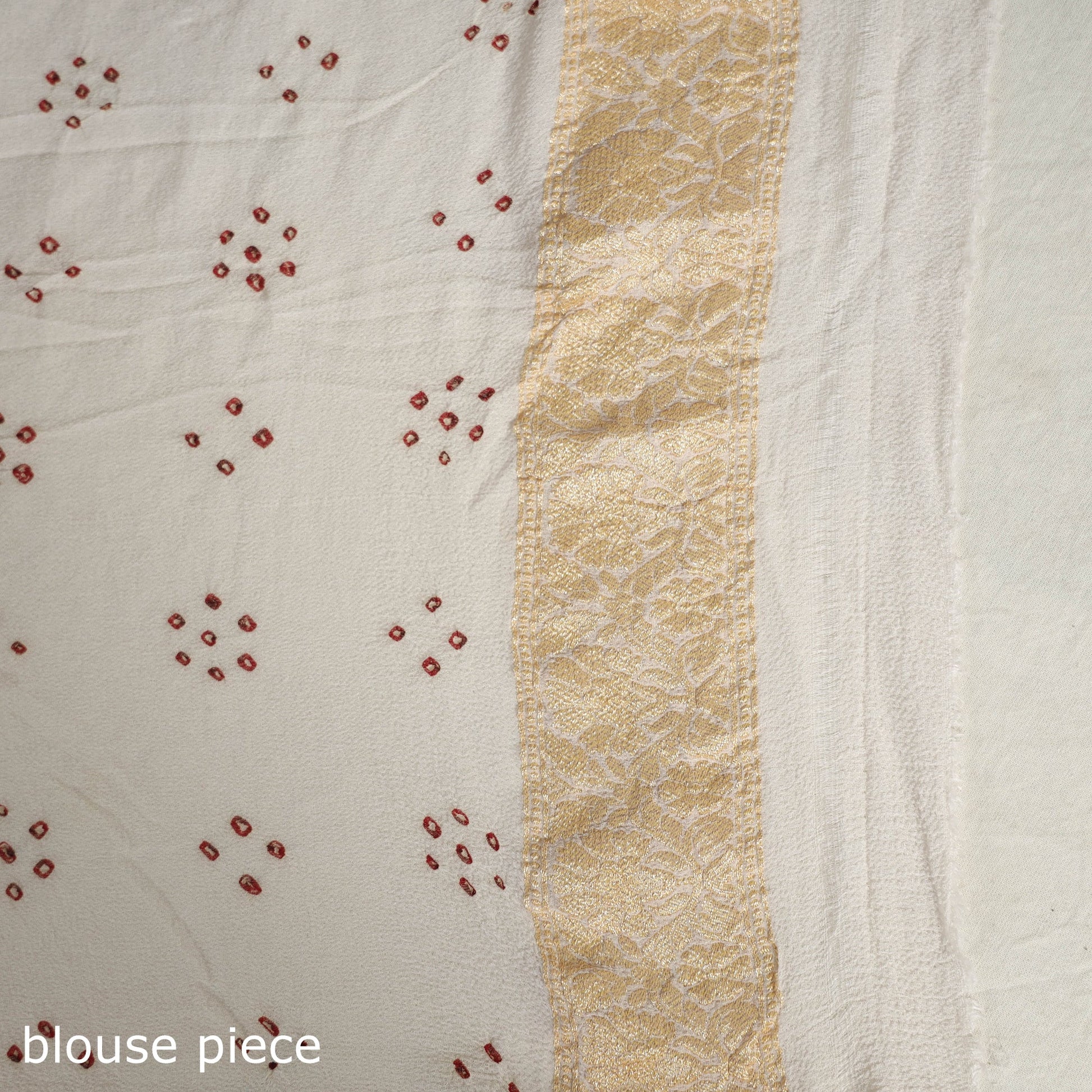 Beige - Kutch Bandhani Tie-Dye Pure Georgette Banarasi Neem Zari Jaal Saree