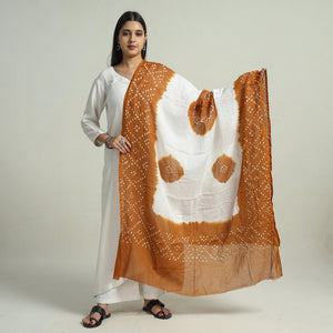 Brown - Kutch Bandhani Tie-Dye Cotton Dupatta 41