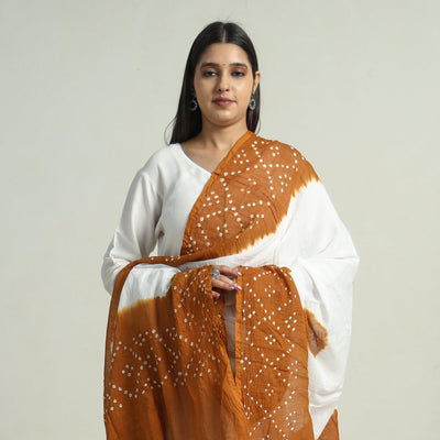 Brown - Kutch Bandhani Tie-Dye Cotton Dupatta 41