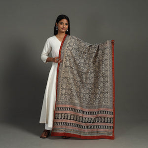 Black - Block Print Chanderi Silk Bagru Dupatta 14