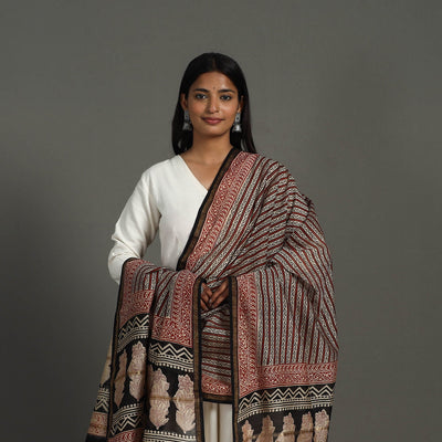 Brown - Block Print Chanderi Silk Bagru Dupatta 18