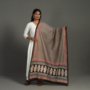 Brown - Block Print Chanderi Silk Bagru Dupatta 19