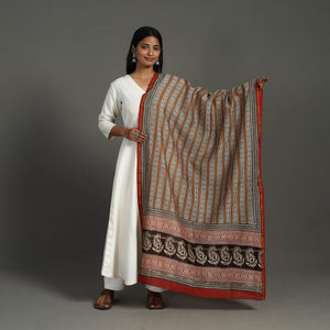 Brown - Block Print Chanderi Silk Bagru Dupatta 22