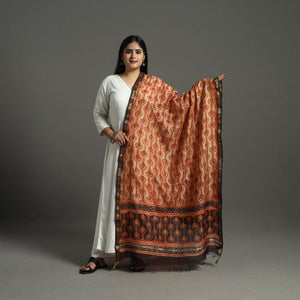 Brown - Block Print Chanderi Silk Ajrakh Dabu Bagru Dupatta 06