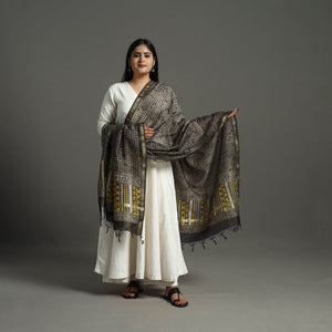 Brown - Block Print Chanderi Silk Ajrakh Dabu Bagru Dupatta 07