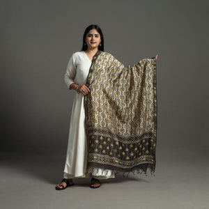 Beige - Block Print Chanderi Silk Ajrakh Dabu Bagru Dupatta 08