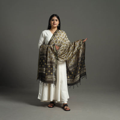 Beige - Block Print Chanderi Silk Ajrakh Dabu Bagru Dupatta 08
