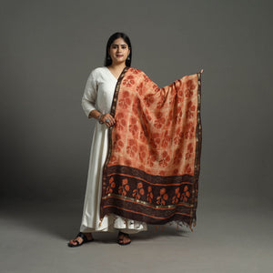 Brown - Block Print Chanderi Silk Ajrakh Dabu Bagru Dupatta 09