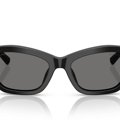 TIFFANY & CO TF4231U 800181 53 SUNGLASSES