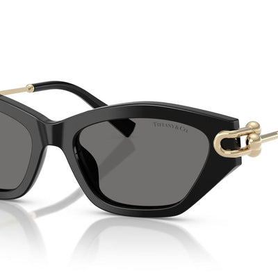 TIFFANY & CO TF4231U 800181 53 SUNGLASSES