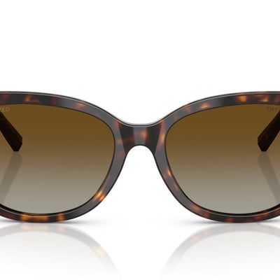 TIFFANY & CO TF4237B 8015T5 55 SUNGLASSES