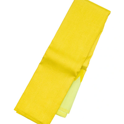 Lime Green Handloom Kanchipuram Korvai Rising Border Silk Saree With Stripes