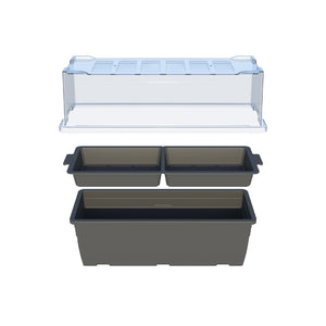 Microgreens Growing Tray