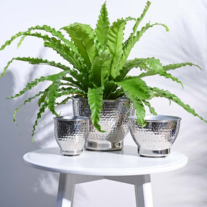 Elegance Planter